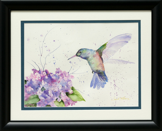 hummingbird and hydrangia