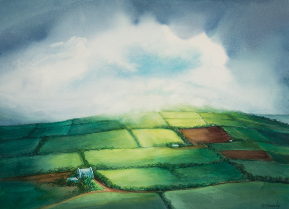 Fields of Ireland