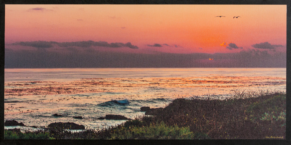 Summer Sunset--Lisa Marie Kostal copy 2