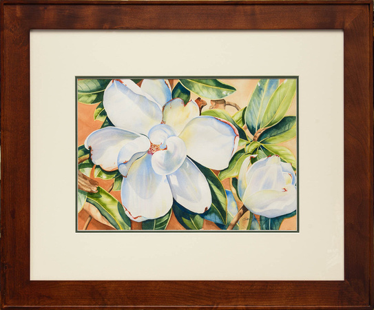 Magnolia -29x35 Watercolor