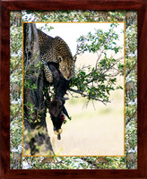 lane-leopard in tree collage