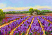 bordianu-profence lavender field-2107-3 copy
