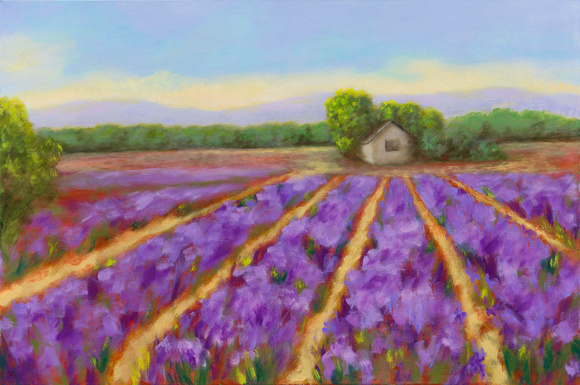 bordianu-profence lavender field-2107-3 copy