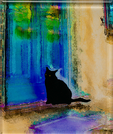 black cat blue door