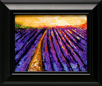 barnett-fields of lavender copy