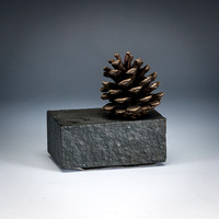 pinecone on 2.5x4 base