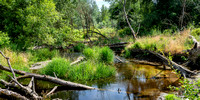bear creek crossing