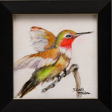 hummingbird-5x5