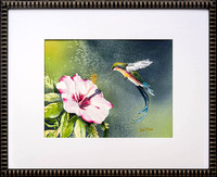 Hibiscus